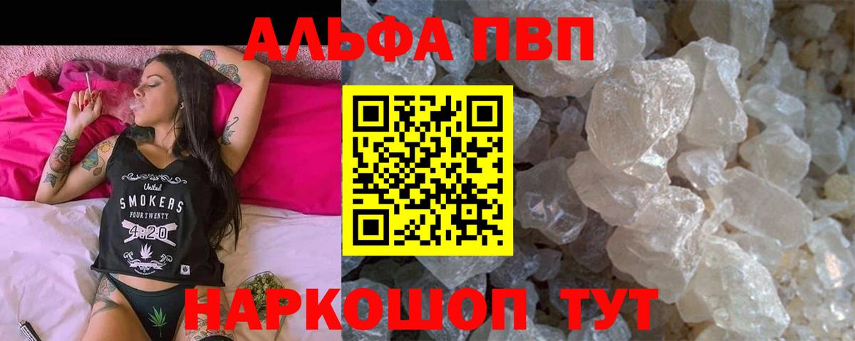 A PVP СК Сегежа