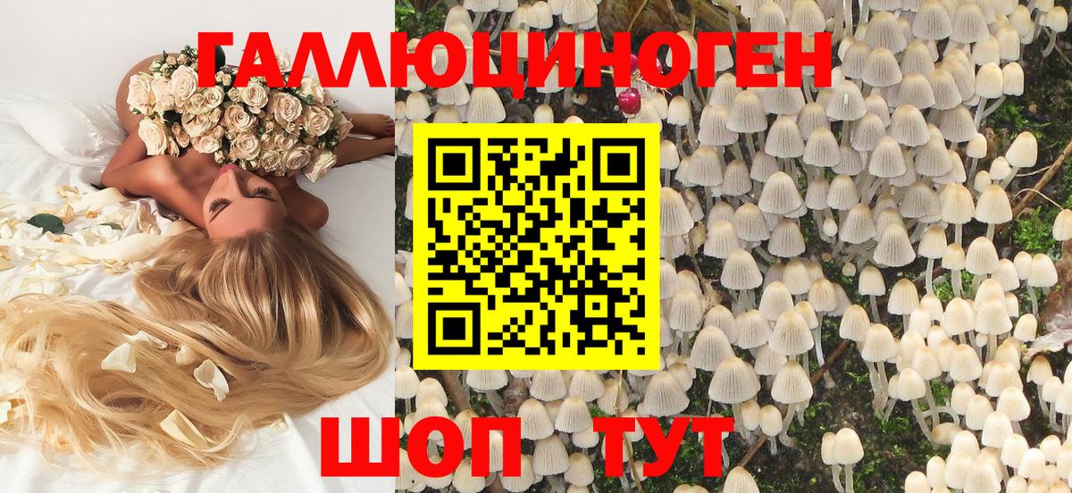 Псилоцибиновые грибы Psilocybine cubensis Сегежа