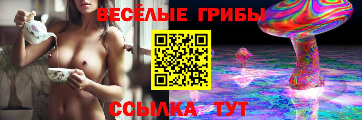 Сегежа  Галлюциногенные грибы Psilocybe  Вход с VPN 